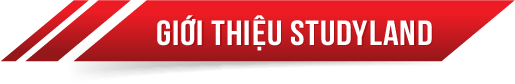 gioithieu lehuydesign 03