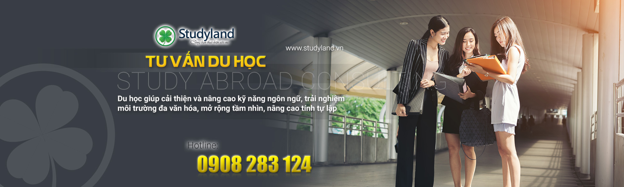 baner studyland 01